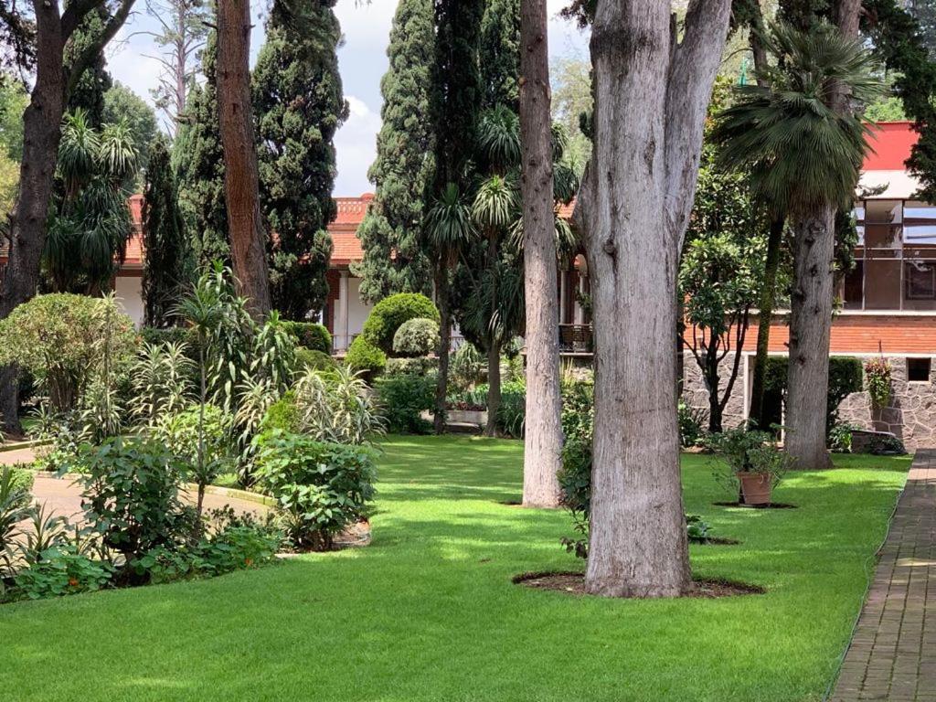 Hotel Express Quinta Soledad Mexico by Eksteriør bilde