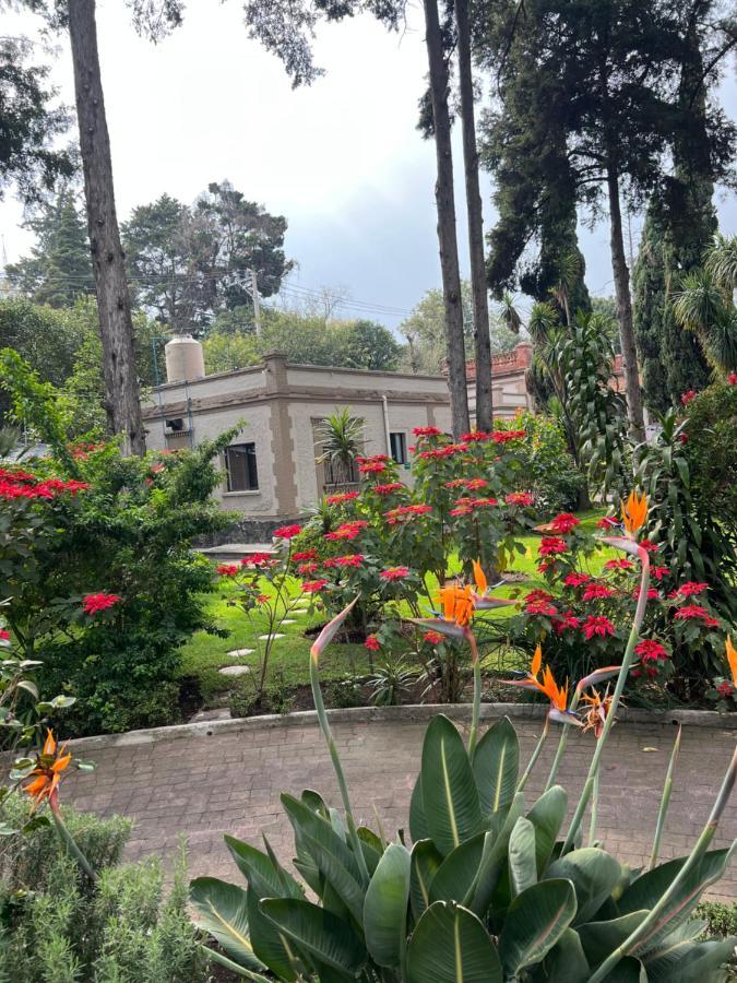 Hotel Express Quinta Soledad Mexico by Eksteriør bilde